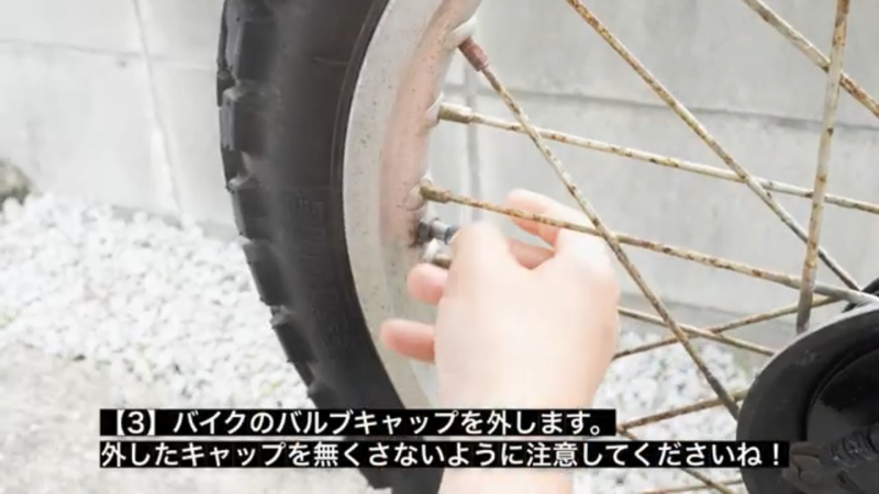 IMG_0436.PNG__PID:0a50b007-32b4-44dd-850c-b51ec3fd9216