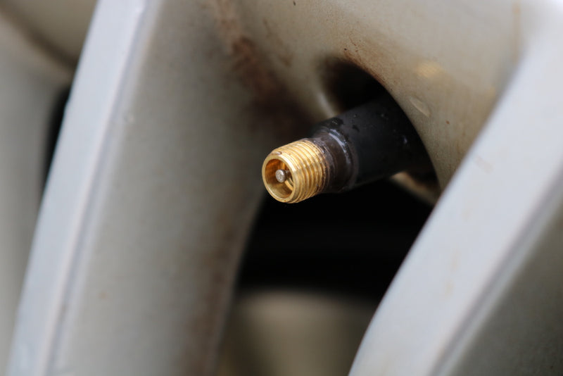 IMG_2945.JPG__PID:99d59e9f-0048-46c7-bc81-98b1c4b32ef2