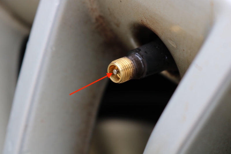 IMG_2945のコピー.JPG__PID:9e9f0048-f6c7-4c81-98b1-c4b32ef20b38