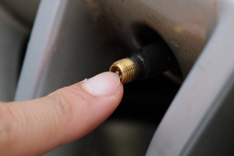 IMG_2947.JPG__PID:0048f6c7-bc81-48b1-84b3-2ef20b38197e