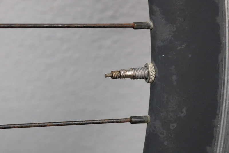 IMG_2949.JPG__PID:84d83bb2-70aa-41f7-99e9-32217e753384