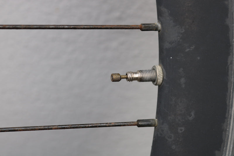 IMG_2950.JPG__PID:81f759e9-3221-4e75-b384-ff9643813556