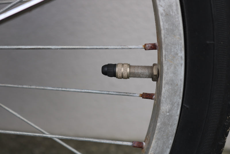 IMG_2952.JPG__PID:fc0d6e9f-7972-4949-a363-0f99131c7484