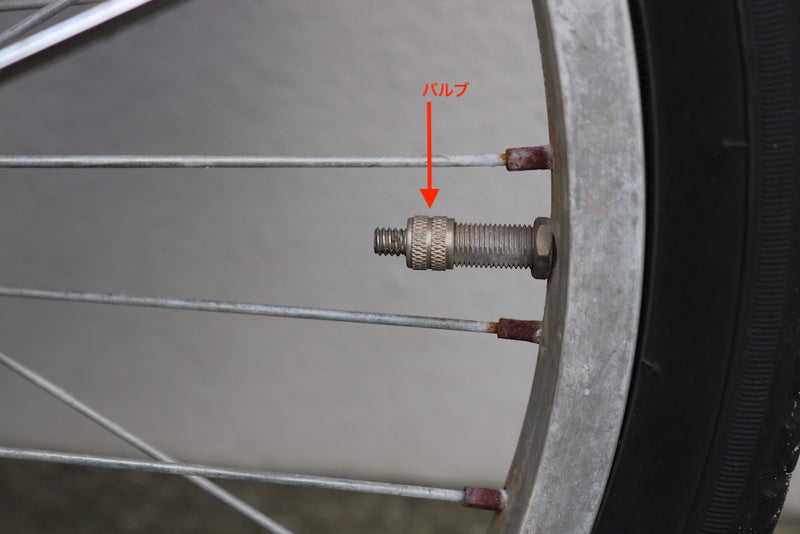 IMG_2953.JPG__PID:79722949-a363-4f99-931c-7484d83bb270