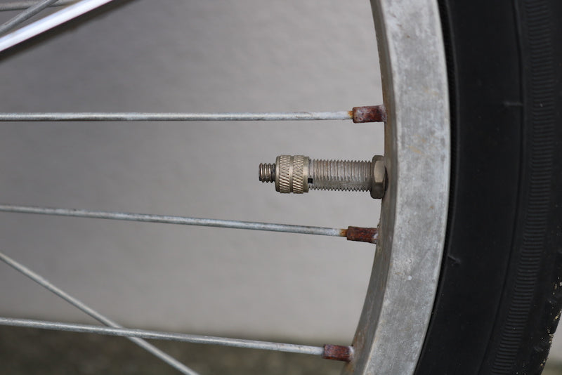 IMG_2954.JPG__PID:a3630f99-131c-4484-983b-b270aa81f759