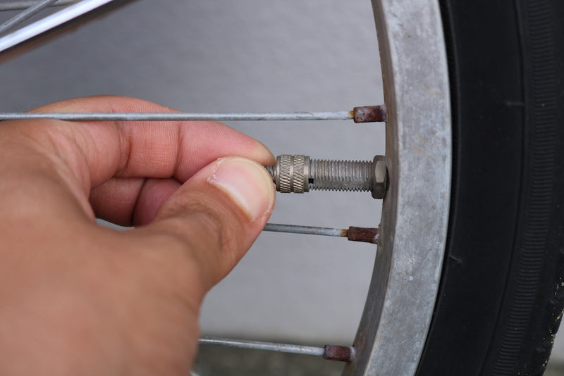 IMG_2955.JPG__PID:0f99131c-7484-483b-b270-aa81f759e932