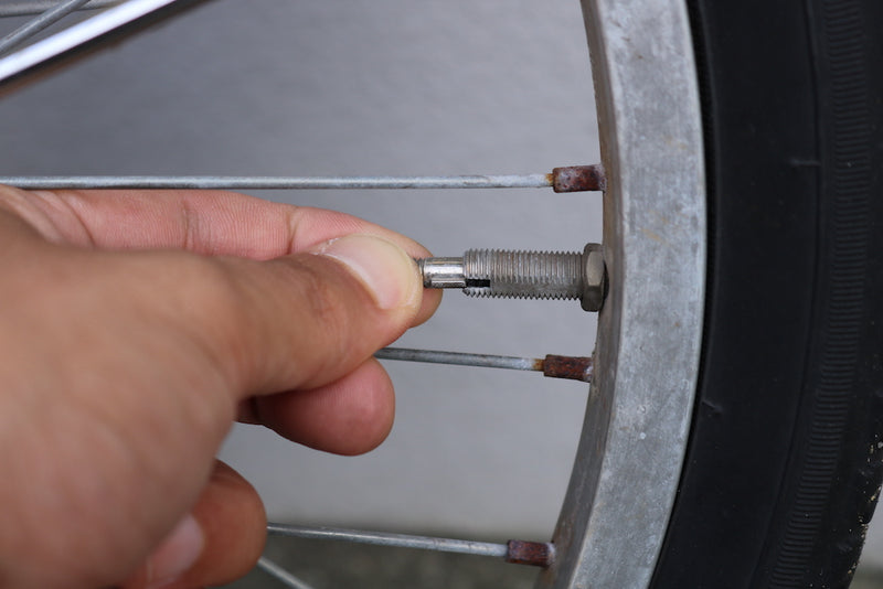 IMG_2957.JPG__PID:131c7484-d83b-4270-aa81-f759e932217e