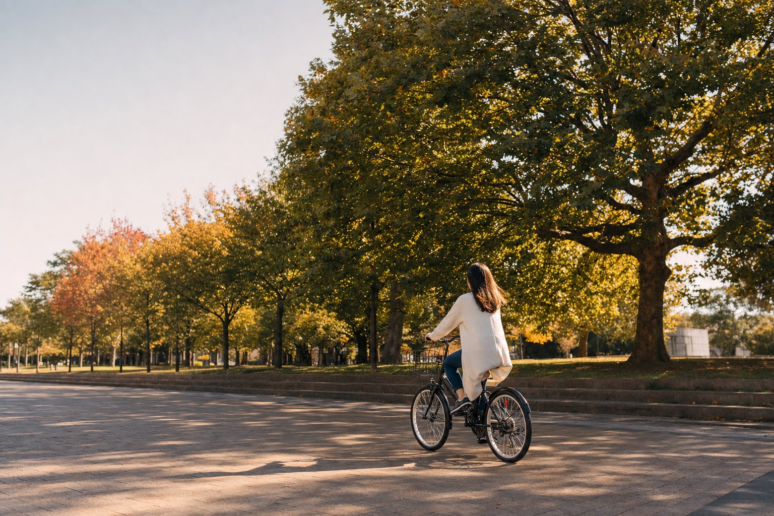 並木道を自転車で走っている人の後ろ姿