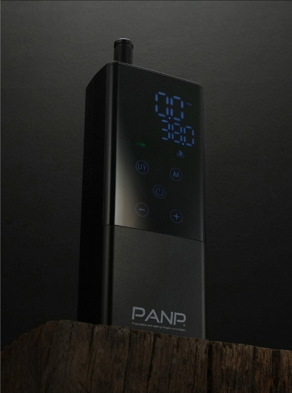 切り株の上に立てた PANP RIDE 本体